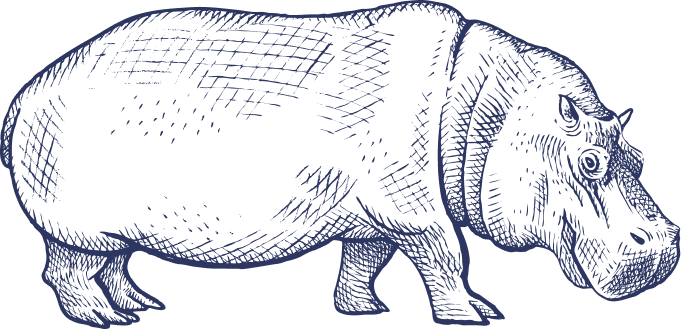 Hippo Full Blue Hippo Full Blue